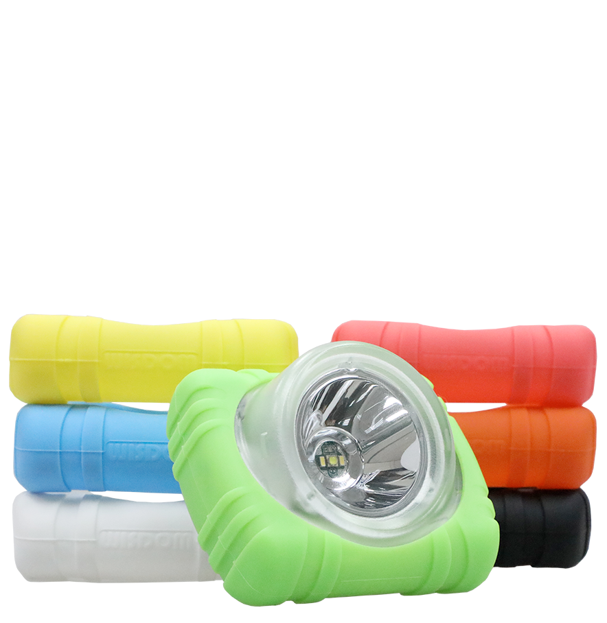 Case protector lámpara Wisdom